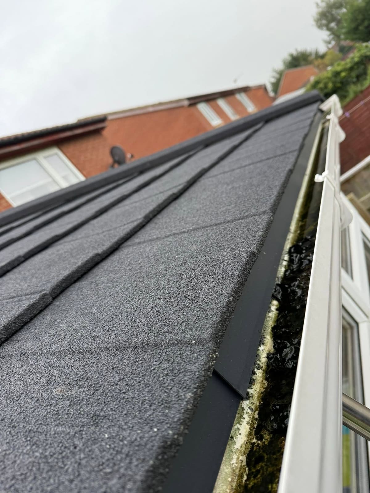 Moss lifting off the conservatory roof tiles