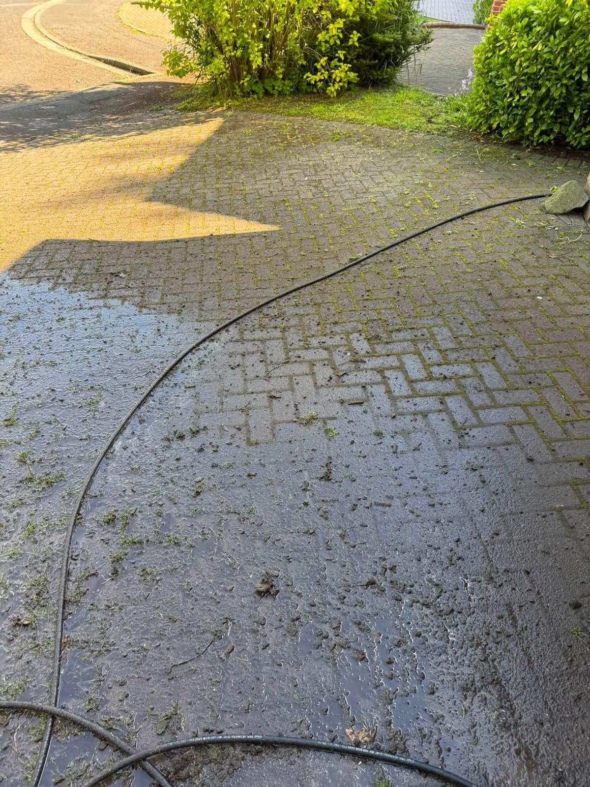 A driveway half cleaned, showing the moss on one side and clean blocks on the other